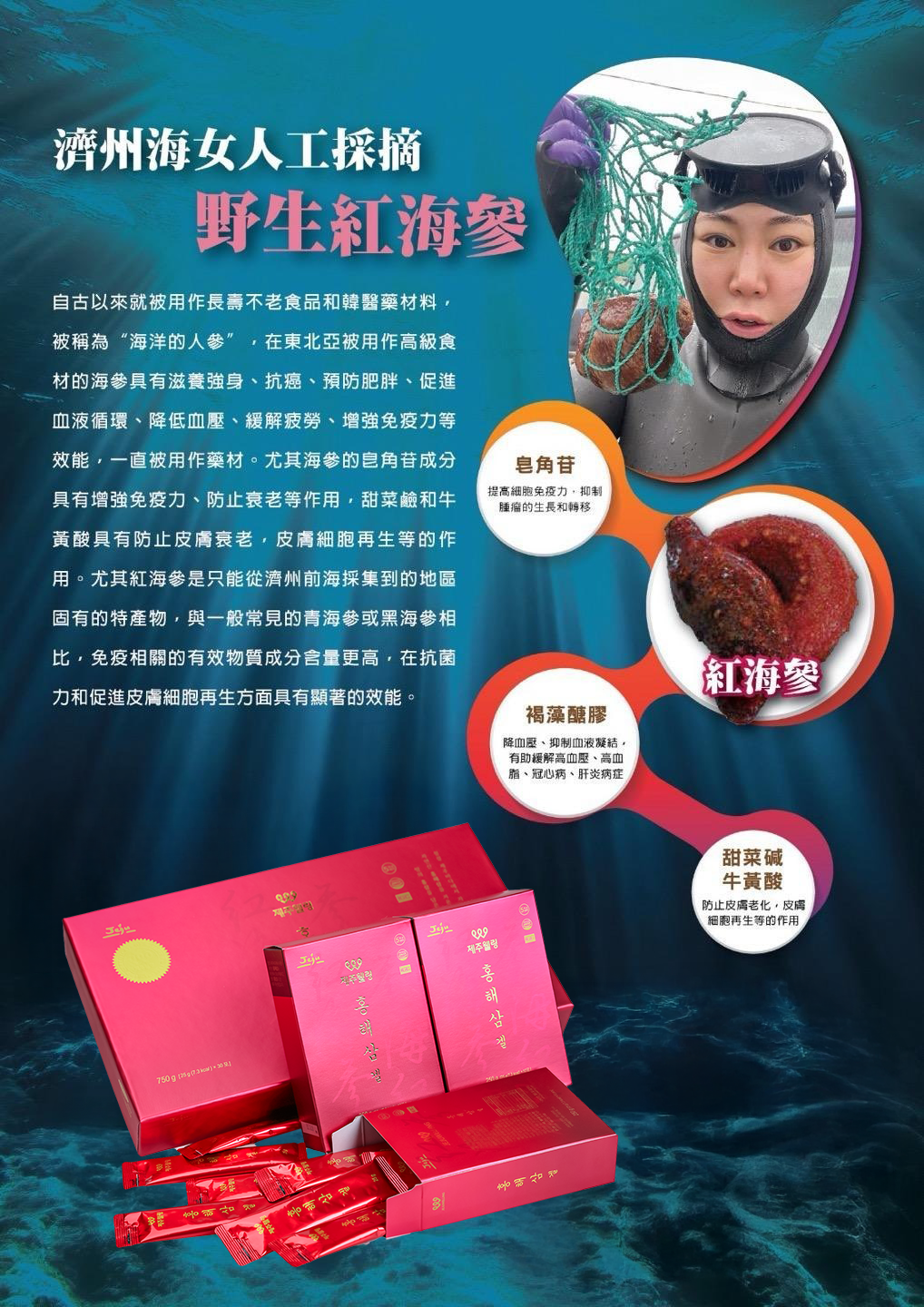 「中國地區正常發貨,美加地區預售中並十二月初發貨,香港地區贈送一包阿里山烏龍茶」JEJUWELLING韓國濟州島紅海參修復飲—2盒裝