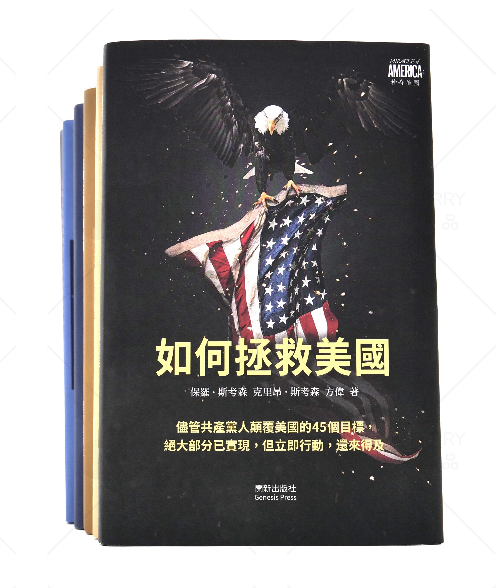 E-book: American Common Sense Series EPUB format (Chinese only)
