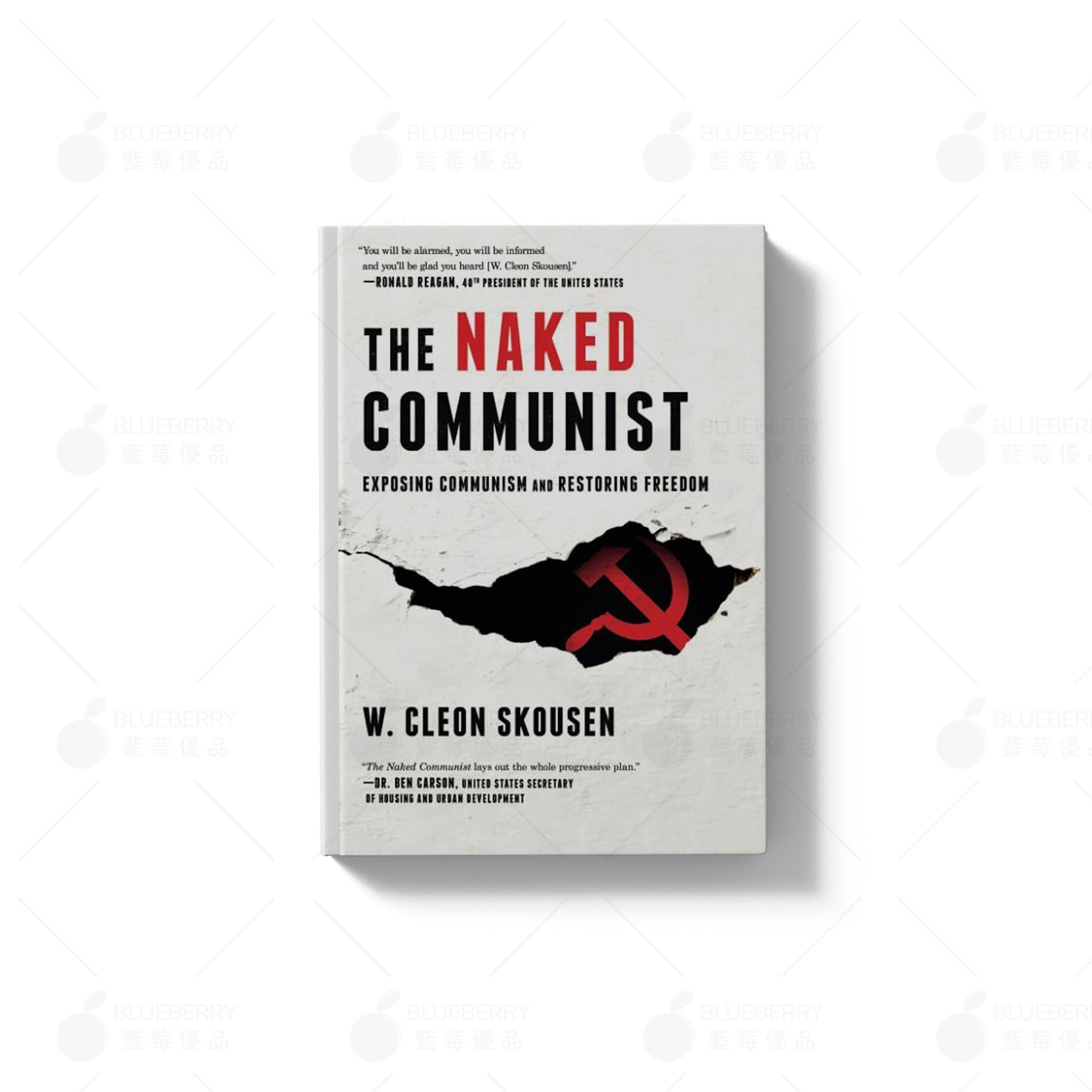 American Common Sense Series (English Edition)