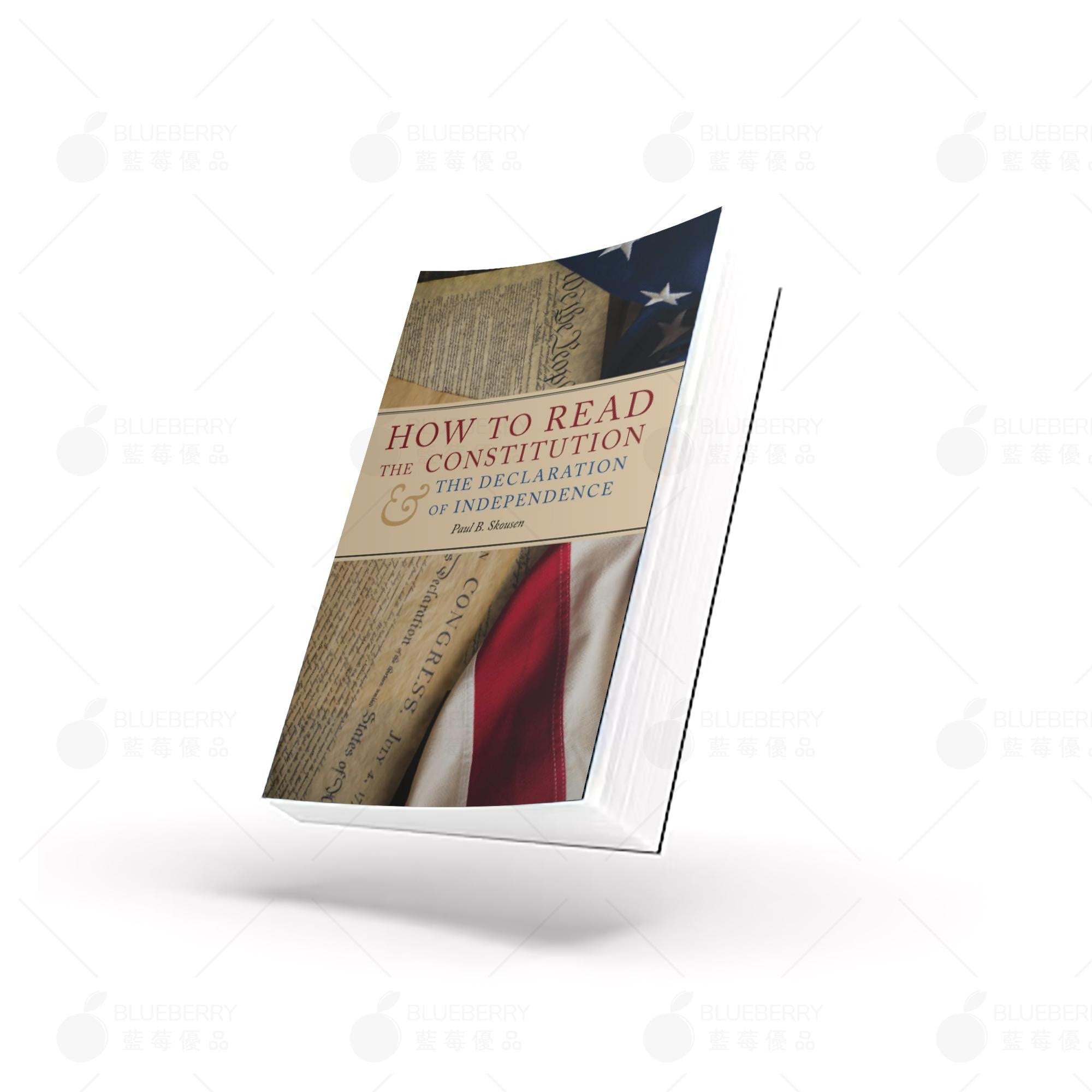 American Common Sense Series (English Edition)