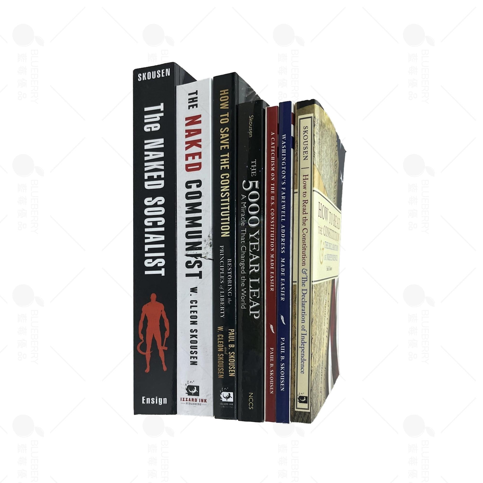 American Common Sense Series (English Edition)