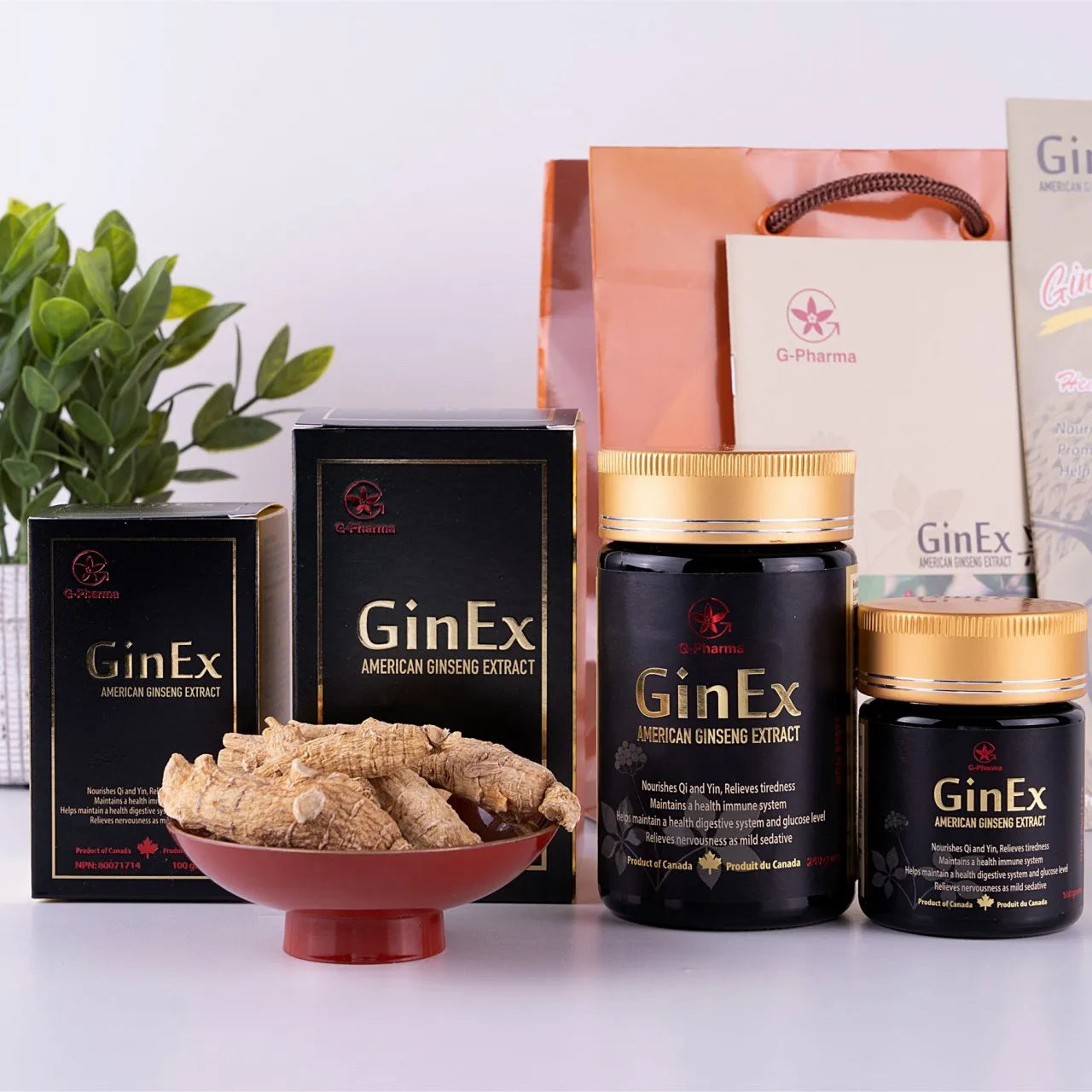 GinEx® 西洋參黑膏滋 (240g+100g) 組合獲購半價黑膏滋滴劑1-2瓶