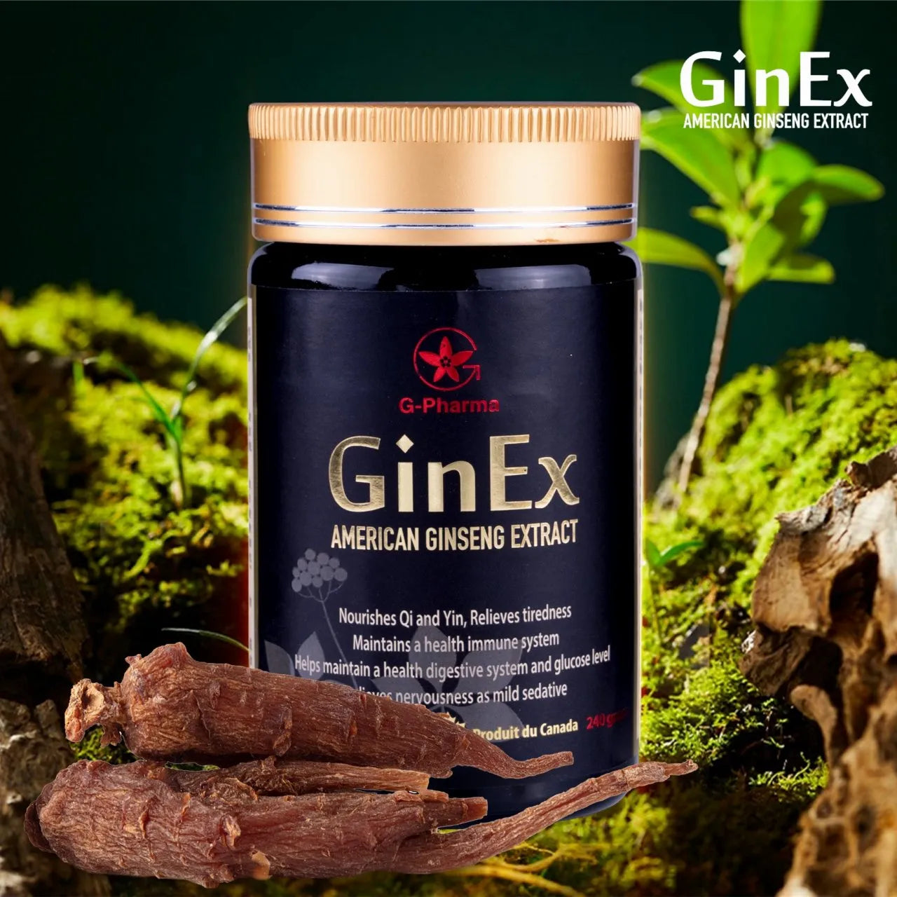 GinEx® 西洋蔘黑膏滋240g 1瓶獲購半價黑膏滋滴劑1-2瓶