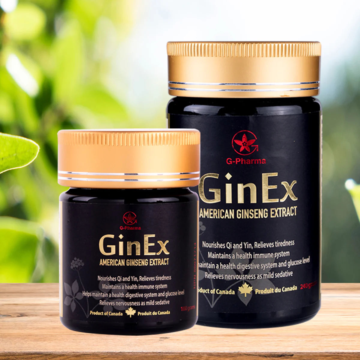 GinEx® 西洋參黑膏滋 (240g+100g) 組合獲購半價黑膏滋滴劑1-2瓶