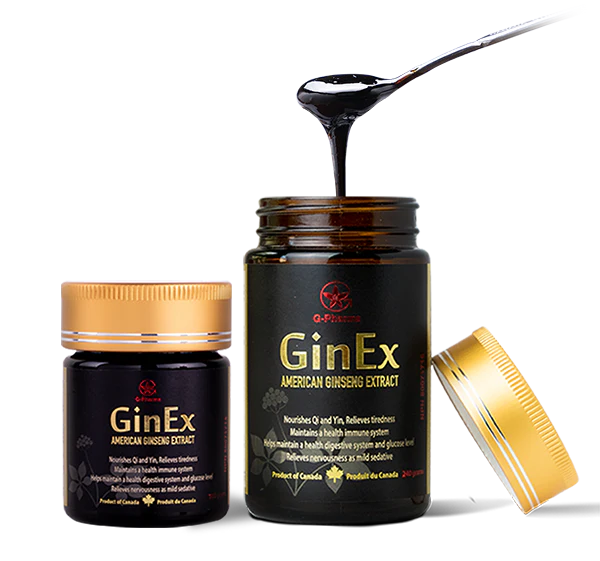 GinEx® 西洋參黑膏滋 (240g+100g) 組合獲購半價黑膏滋滴劑1-2瓶