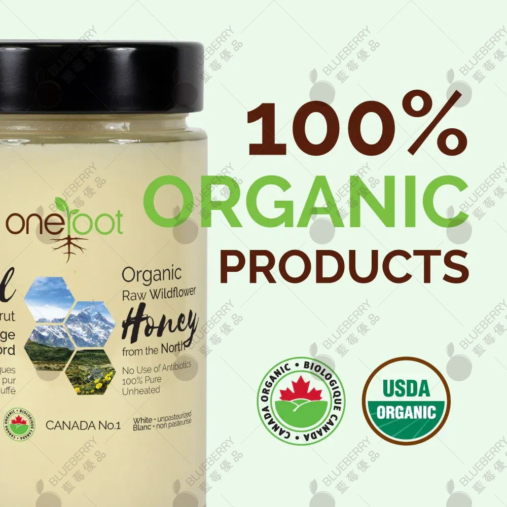 Oneroot 100％有機加拿大野花蜂蜜（1瓶）